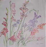 - KURZY KRESLENIA - 2345819