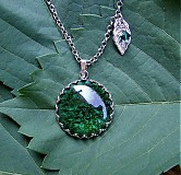 - Deep Forest - 2622579