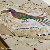 Obrazy - Fabulosa Avem - 2804776