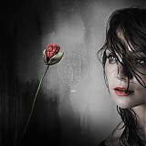  - Obraz s makmi - Wild Poppies III. - 297684