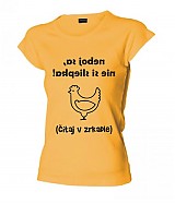  - Neboj sa, nie si sliepka! (čítaj v zrkadle) - 323848