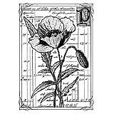  - Razítko - scrapbook - CI 210 - 355552