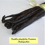 - Pravá vanilka z Madagaskaru -PREMIUM BIO - 363814