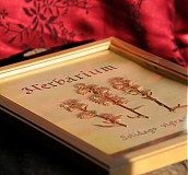  - herbarium 1 - 364546
