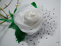 Odznaky/Brošne - Volanie Jari - 3669633