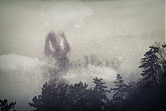  - Nebbia - 371230