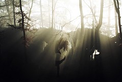  - Vanish in the haze - 375508