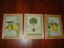  - Citrusy - 387979