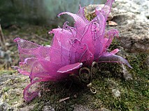  - Violet orchid.... - 427519