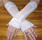 - Acantha - 431029