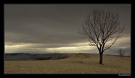  - Smutná krajina - 436138