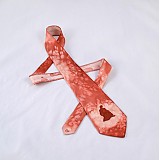  - Hedvábná kravata ZVĚROKRUH - panna - terrakota - 438624