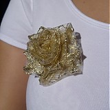 - Gold Rose - 461418