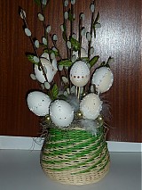  - cibuľka - 489658