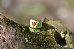  - tulipán..zelený - 504946