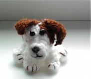 - Naša Majlinka - Jack russel terier - 553447