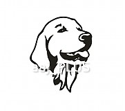  - Zlatý retriever - nálepka - 573130