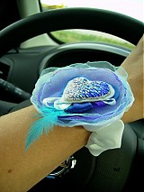 - Blue angel - 587339