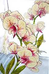  - orchidea - váza - 592287