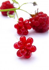  - Bublinky July Raspberries - 642338