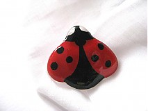 - LadyBird - 648282