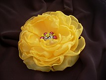 - žltu_lienka / 9 cm / - 671779