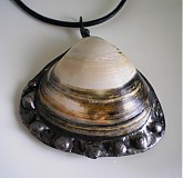 - Elegantná mušľa - 691308