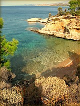  - Golden beach - 709750