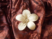 - Madlen - 759185