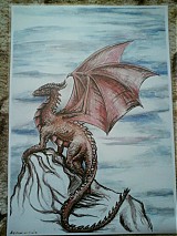 - Triceratodraco - 764038