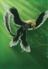 - Microraptor gui - 764092