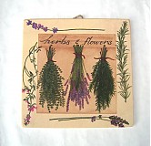  - visiaca levandula - 827326