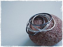  - zebrickovce prstienkove - 85384