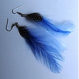  - Modro-modrá peříčka - 865894