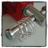  - holubkovce prstienkove - 86701