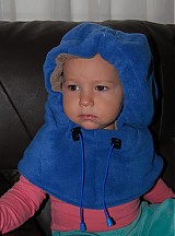  - modrá kuklička - 872233