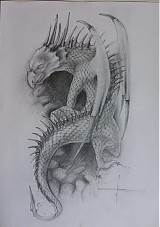  - Dragon - 895378