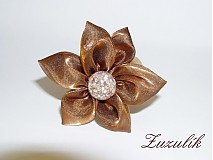  - Gumička - medená ulitka - 902546