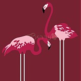 - Flamingo - 930608