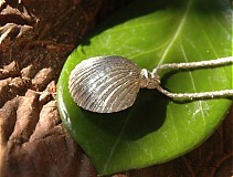 - KURZY: Strieborné piatky - 935752