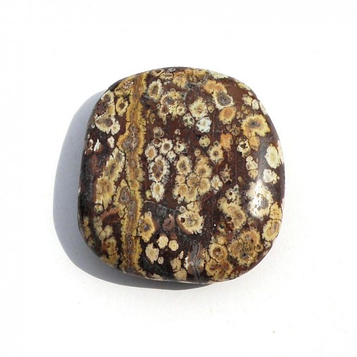 - 0969 Leopardí jaspis 4,3 x 4 cm - 1113861