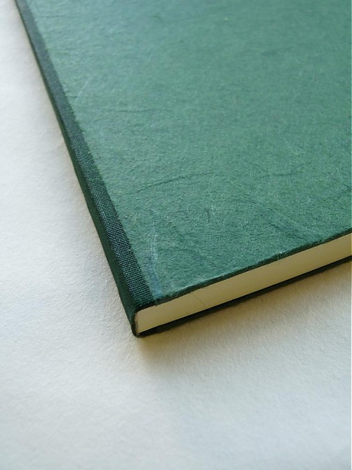  - Green notebook - 1133126