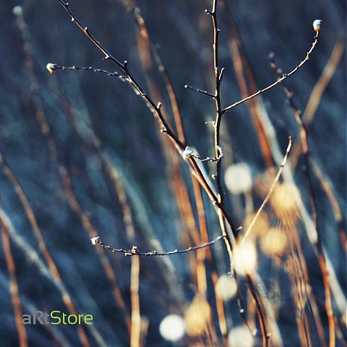 - Winter poem - 304210