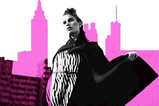  - Little black zebra - 393748
