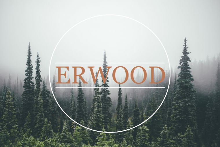 Erwood