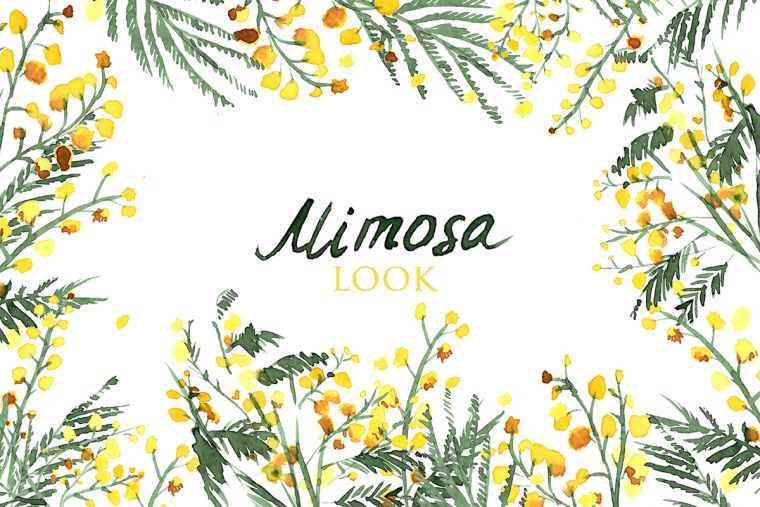 Mimosa.look