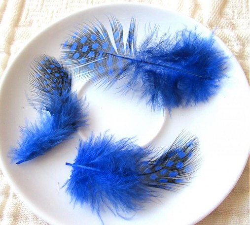  - AKCIA !!! Pierka z prepeličky,väčšie,5-12 cm,modré / 5 párov - 3856437_