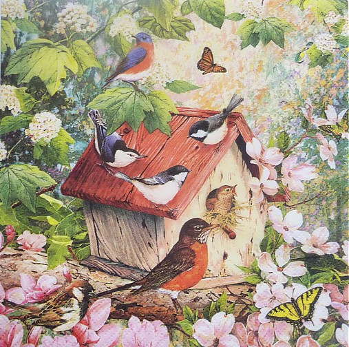  - Birdhouse - Domček pre vtáčikov - 3932712_