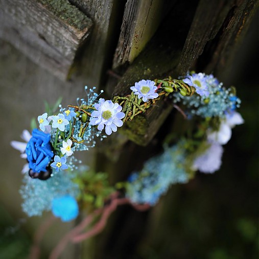  - "Z lúky" ...pohľadenie modrých kvetov... - 3929586_
