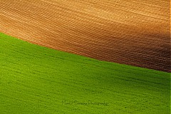 Fotografie - ČAKÁME DOBRÚ ÚRODU - 4031485_
